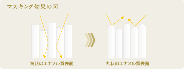 ２．歯の表面構造を変化させる