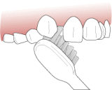 （２）歯並びの悪い所は1本1本磨くように先を使います。矯正用の歯ブラシと同じような使い方ができます。